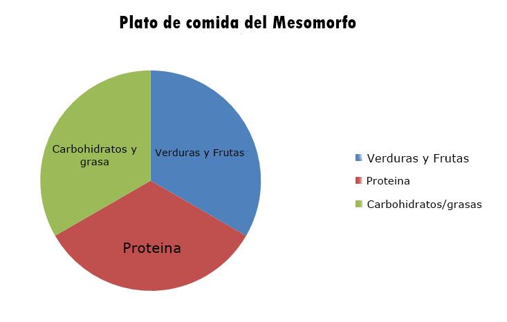 Partes del plato de comida del mesomorfo